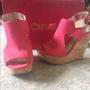 Carlos Santana Wedges